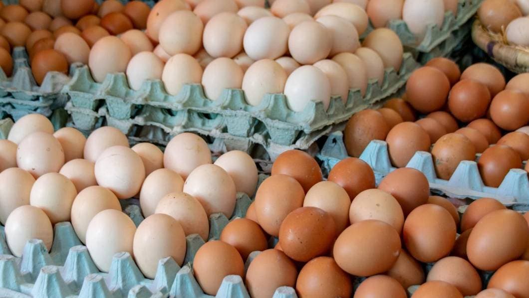 Canasta básica, Cuernavaca