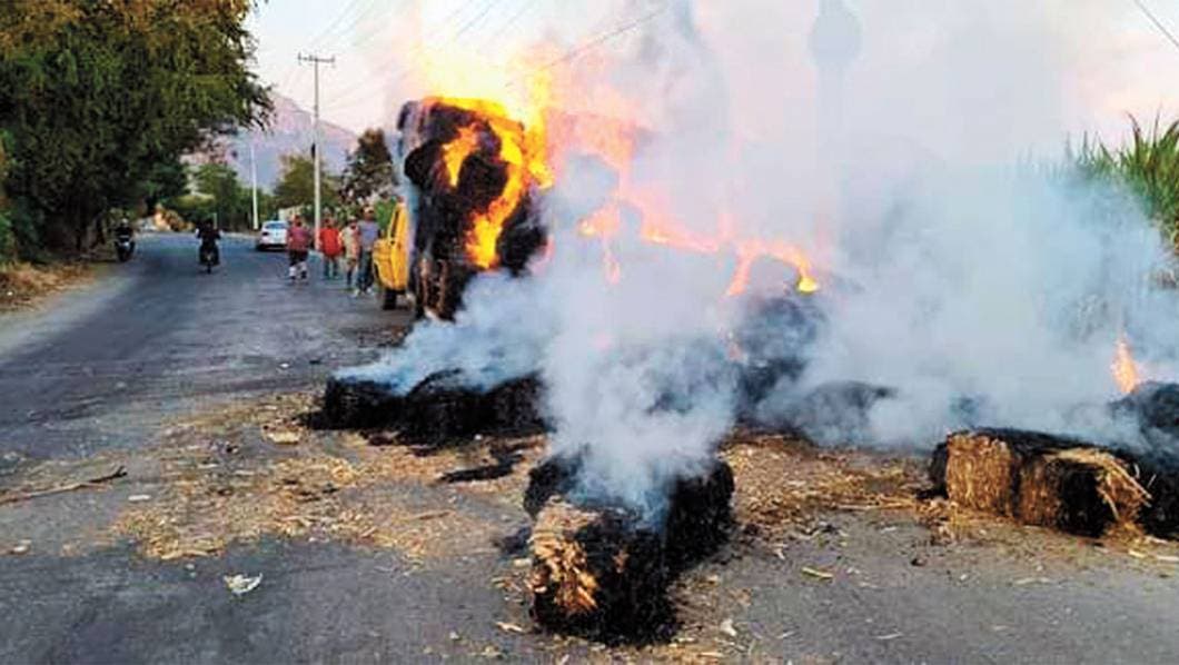 Arden pacas en Yautepec