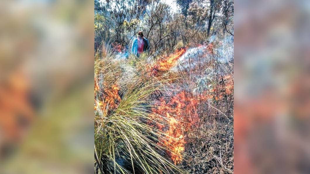 Arde pastizal en Tepoztlán
