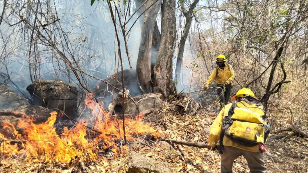 incendios, bosque, morelos