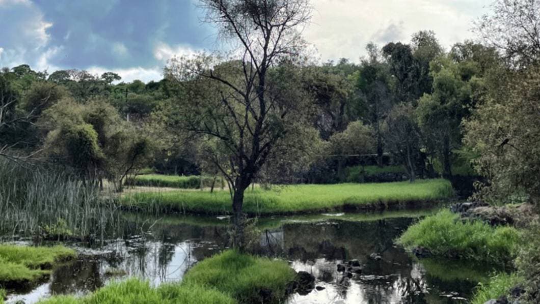 Especial - Laguna de Hueyapan: El Texcal, una maravilla de Morelos