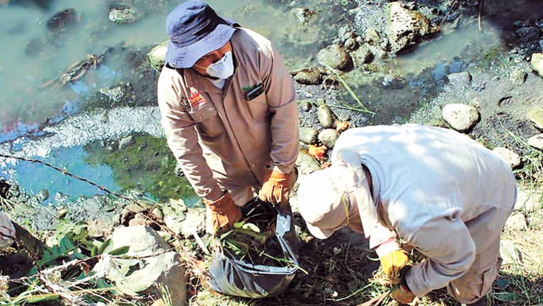 Limpian de basura y maleza a colonia Estrada Cajigal de Cuernavaca