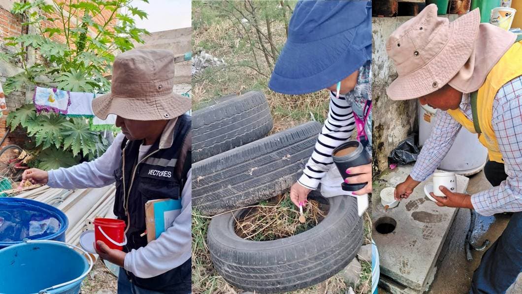 Secretaría Municipal de Bienestar Sustentable