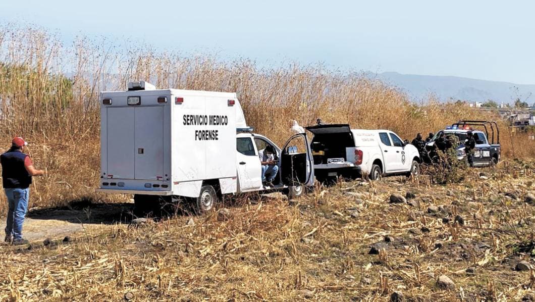 Hallan cadáver putrefacto en predio de Temixco