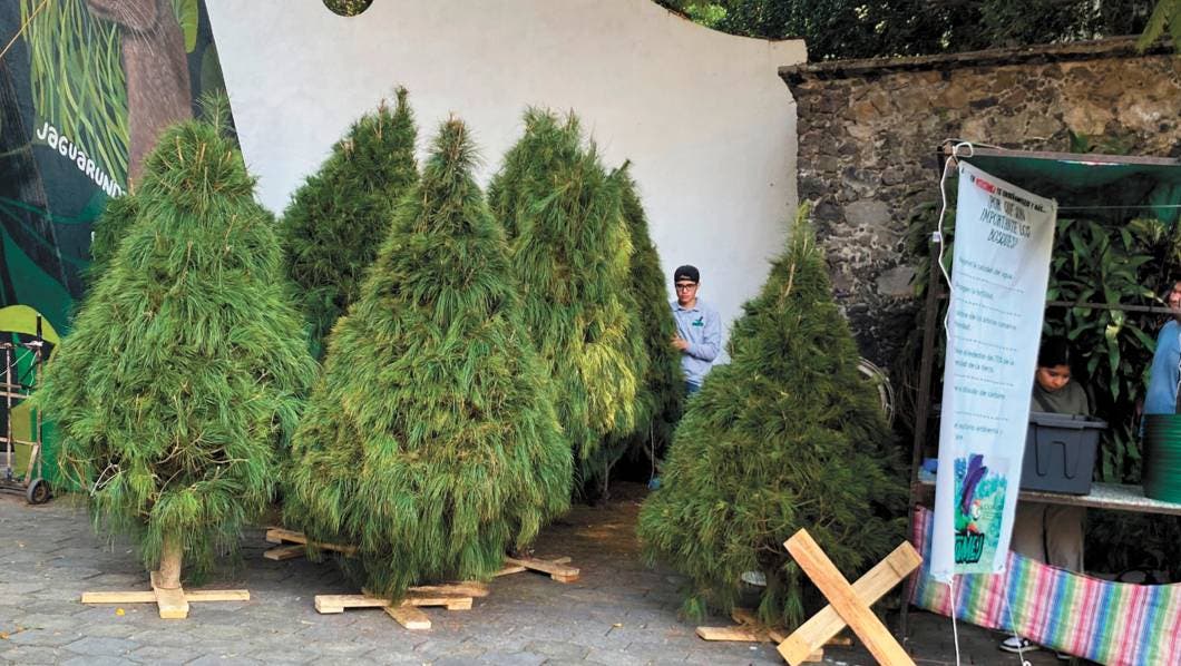 El parque estatal Barranca de Chapultepec recibió el Mercadito Navideño