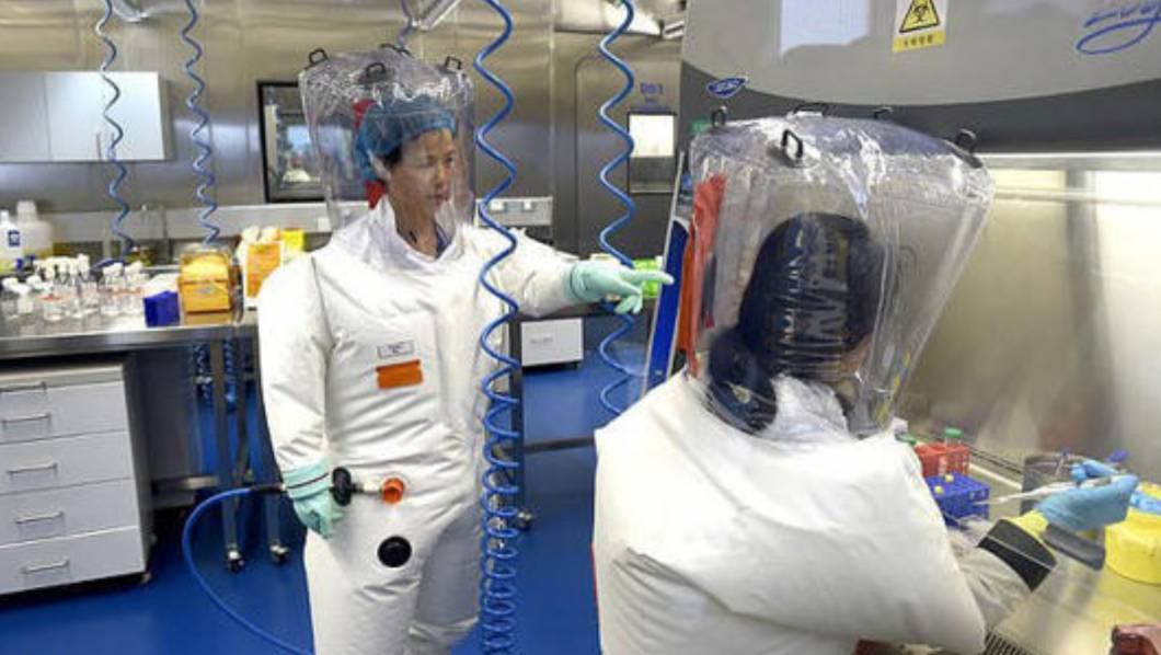 virus, HKU5-CoV-2, China