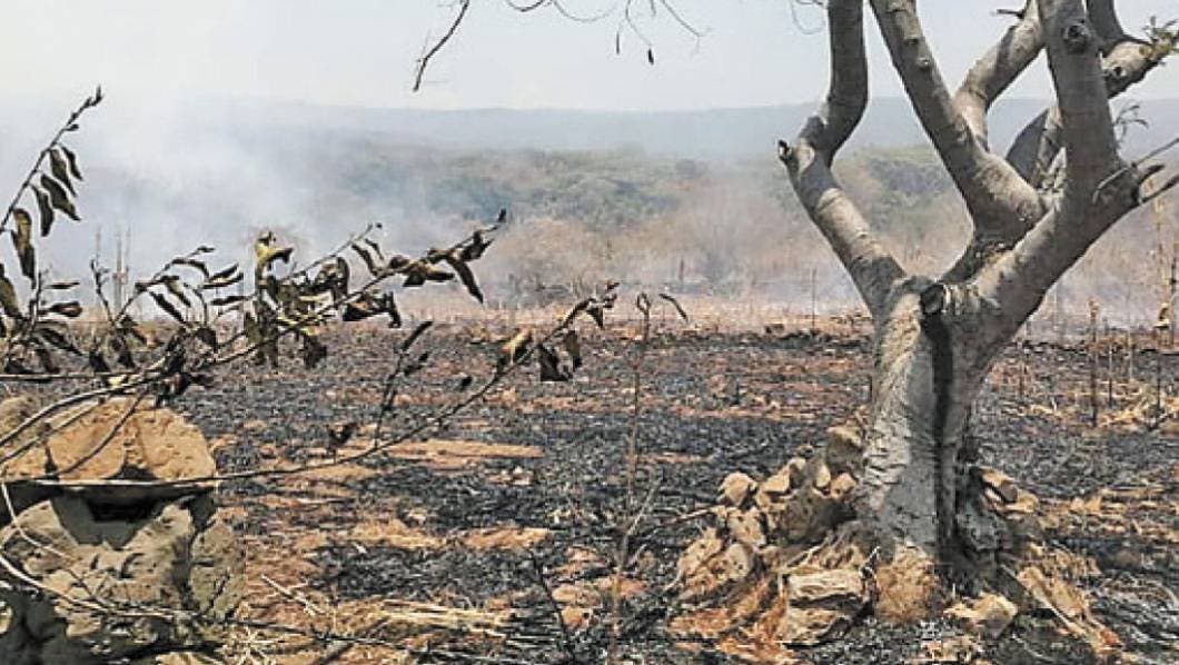 Apagan un nuevo incendio en Tepoztlán