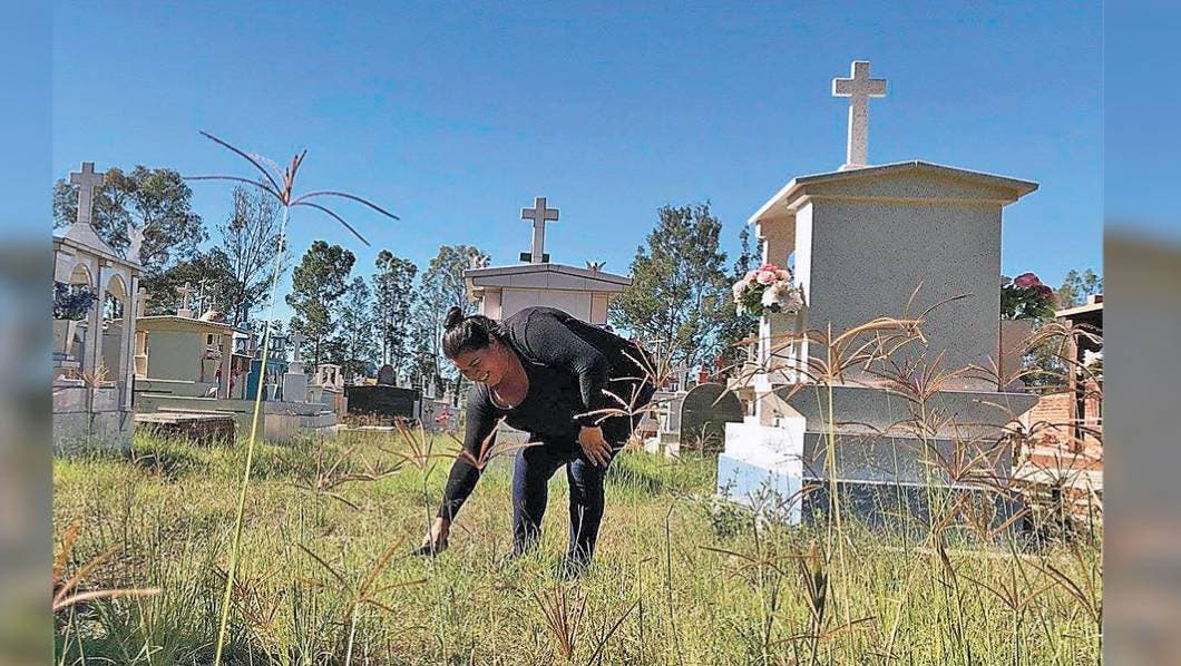 Limpias. Arrancan maleza y tiran el agua de los botes que son posibles criaderos de moscos.