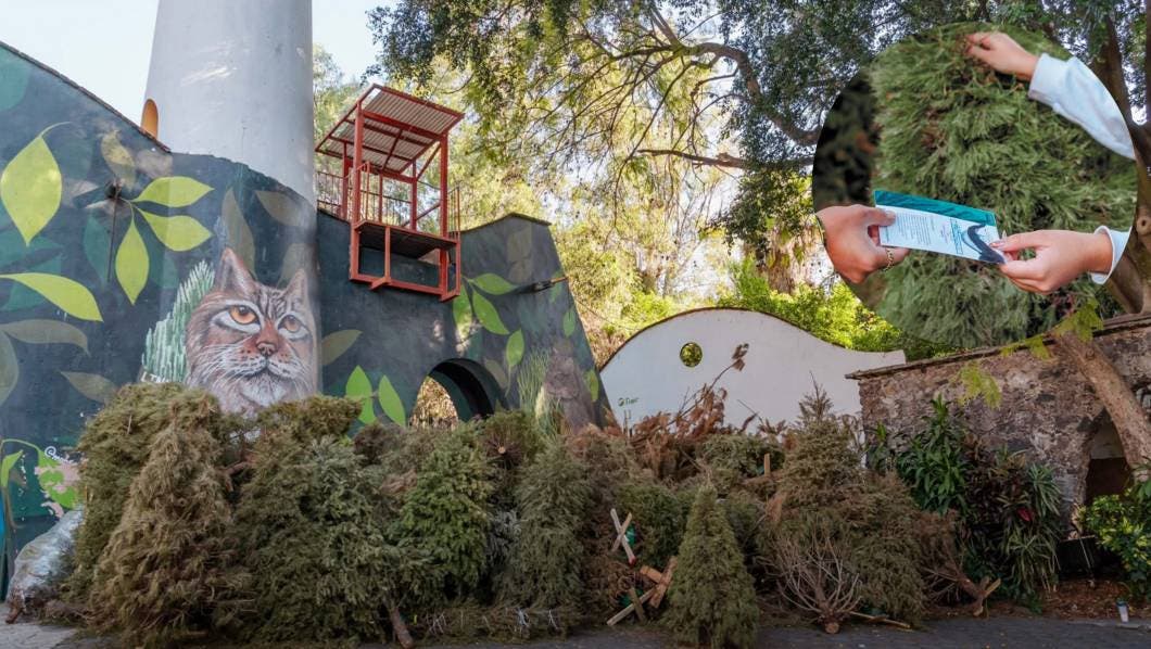 Parque Barranca Chapultepec