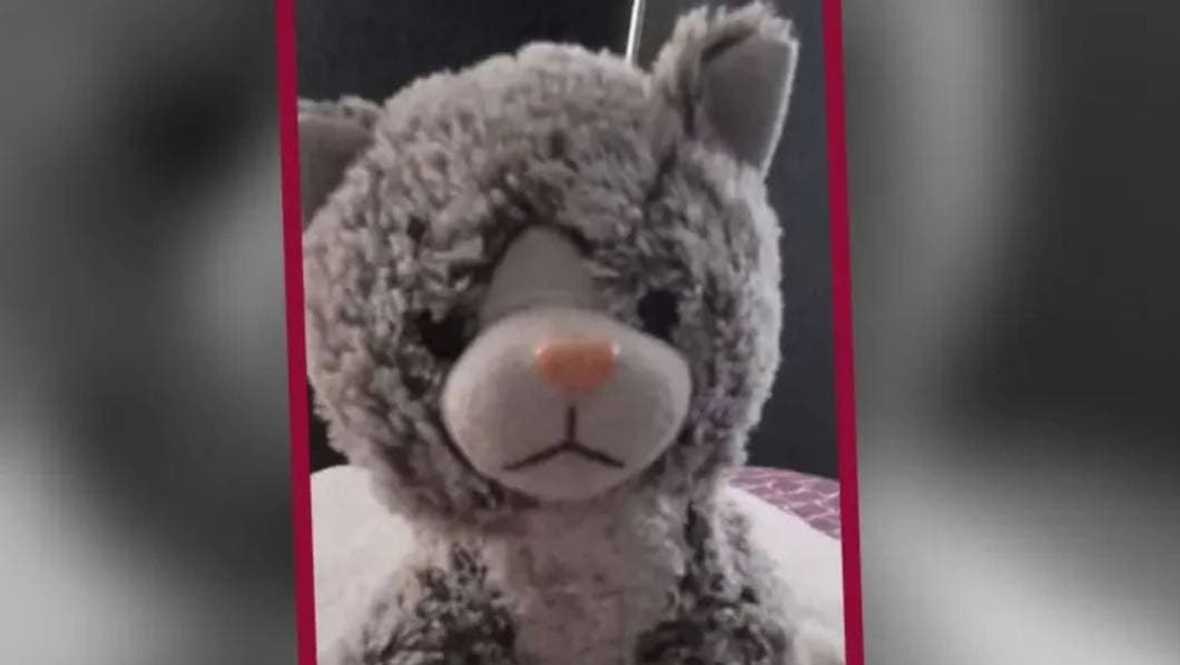 peluche, niño, autismo, extorsion