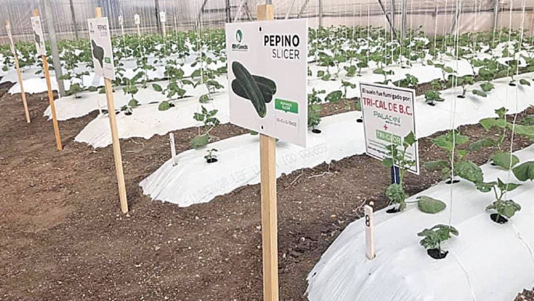 Participará Morelos en Expo Agroalimentaria