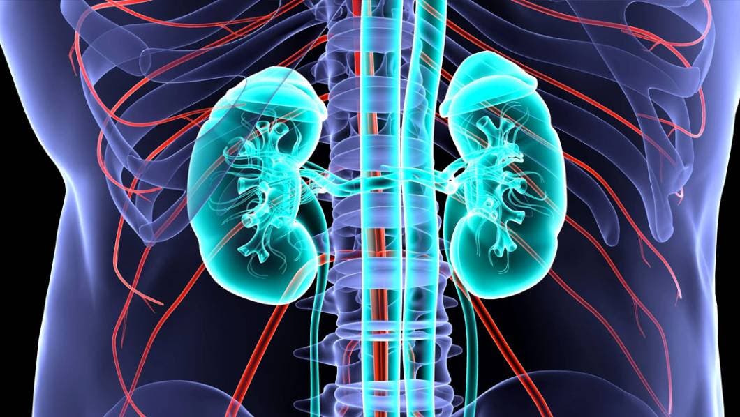 Enfermedad renal, una amenaza para la salud: Entre las cinco principales causas de muerte en México