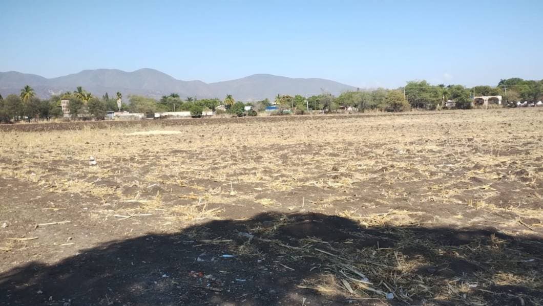 Presentan 25 municipios de Morelos sequía extrema