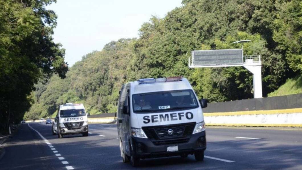 servicios periciales