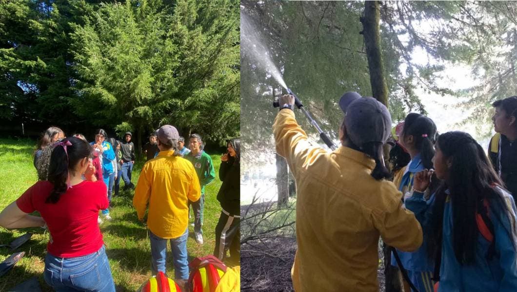 Comunidad Teporingos