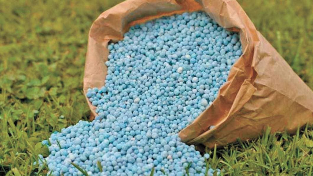 Regiduría de Desarrollo Agropecuario