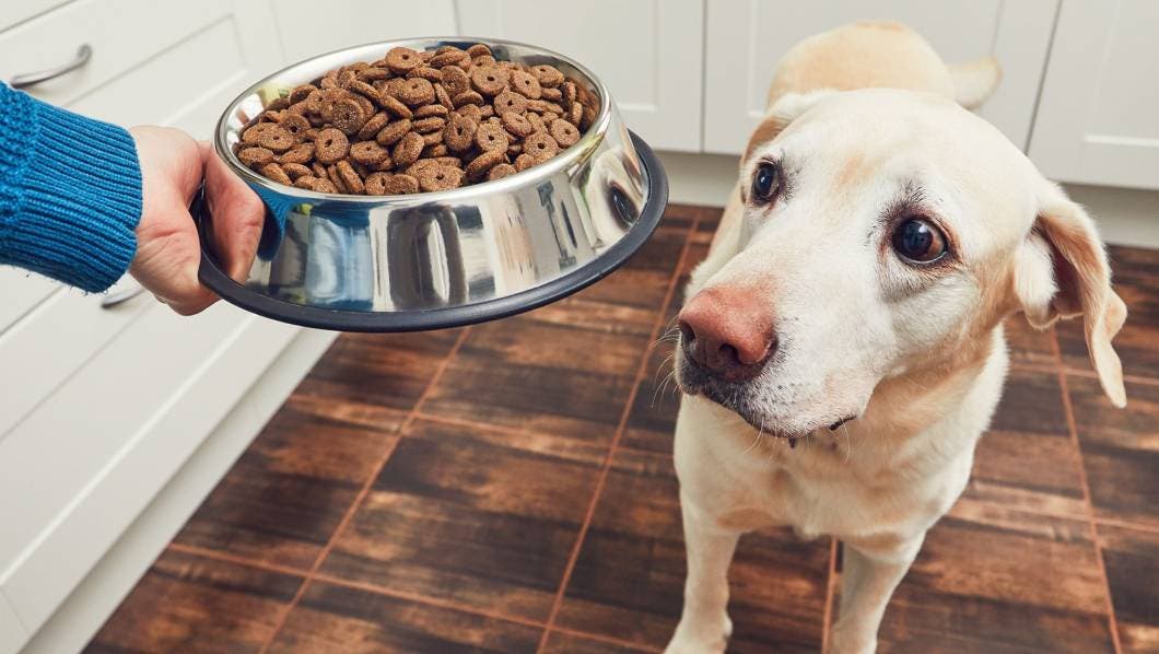 Croquetas baratas en Tiendas 3B: ¿ahorro o riesgo para tu mascota?