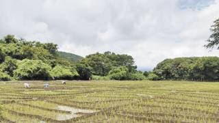Anuncia Sedagro programa para ayudar a productores morelense...