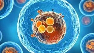 Avance médico logra producción natural de insulina mediante edición genética