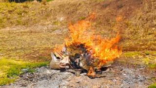 Destruyen autoridades drogas y objetos usados por el crimen