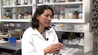 Eva Ramón Gallegos: La científica mexicana que revoluciona la lucha contra el VPH 