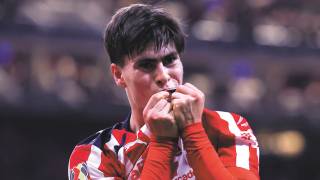 Buscan en Brasil a la Hormiga