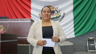 Propone diputada Jazmín Solano incorporar firma electrónica y expediente digital...