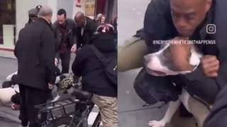 VIDEO: Pitbull ataca a un pequeño en Manhattan; transeú...