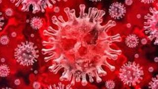 Ni el calor, ni la humedad matan al coronavirus: confirma la...