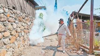 Registra Morelos 18 casos de dengue en u 2