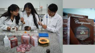 Carispermex: el anticonceptivo masculino revolucionario a base de semillas de papaya 