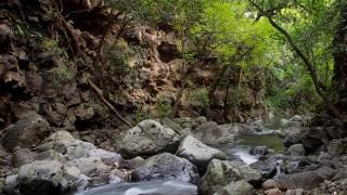 Preparan un proyecto para el rescate de barrancas de Cuernav...