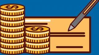 Tu Bolsillo. Cuídate de los gastos hormiga