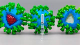 Solicitarán uso de emergencia de vacuna