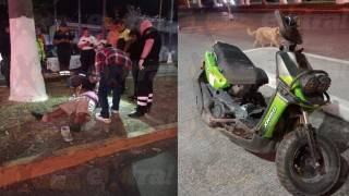 Motociclista ebrio choca contra palmera en Cuautla