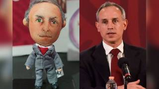 "Gatellito" a la venta