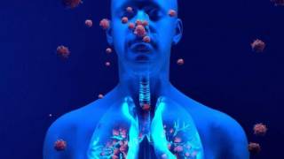 Estudian inmunidad cruzada contra el COVID-19