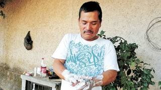 'Lavarse las manos quedará para siempre'