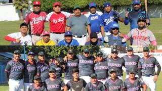 Ganan Leones por una carrera, ¡Rugen en casa ajena!