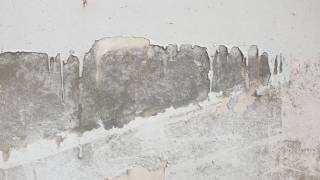 ¿Humedad en las paredes? Cómo saber si es una filtración o el fin de la vida útil de tus t...