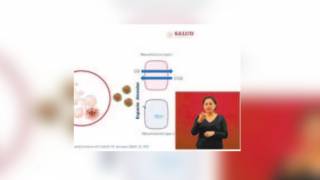 No todos mueren por COVID-19: Salud