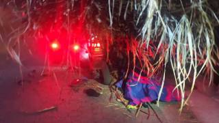 Muere motociclista al impactarse contra camión cañero en la colonia Eusebio Jáuregui, en Cuautla