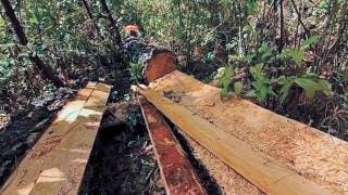 Consume tala ilegal bosques de Huitzilac 2