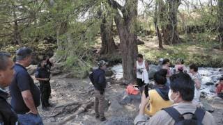  Afirman que los turistas son los más renuentes a acatar las...