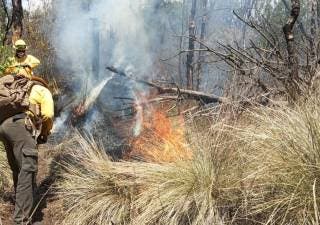 Controlan incendio en Huitzilac en un 75 por ciento