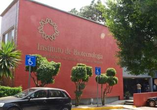 ¡Ciencia para los reyes del hogar! IBt UNAM celebrará a los niños en Cuernavaca