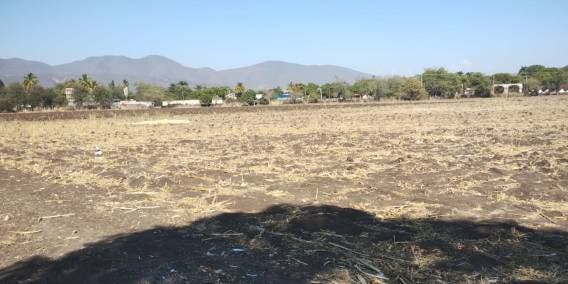 Presentan 25 municipios de Morelos sequía extrema