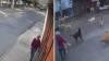 La imágen contiene:  Captan en video brutal ataque de perros contra adulta mayor en Cuautla