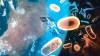 NASA encuentra bacteria resistente a todos los medicamentos: ¿una amenaza para la Tierra?