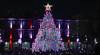 Cuernavaca se ilumina con el encendido del Árbol de Navidad 